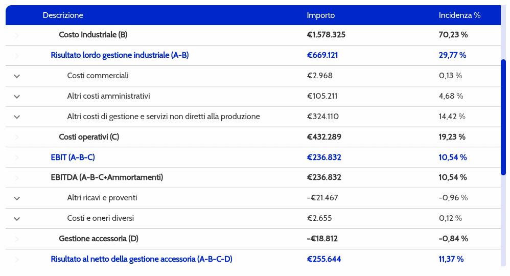 Prospetto di bilancio con importi e incidenza percentuale per voce